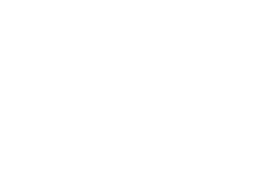 HAMMER PRATA